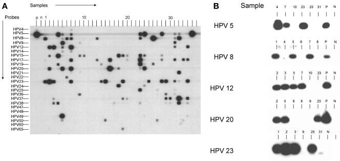 FIG. 3.