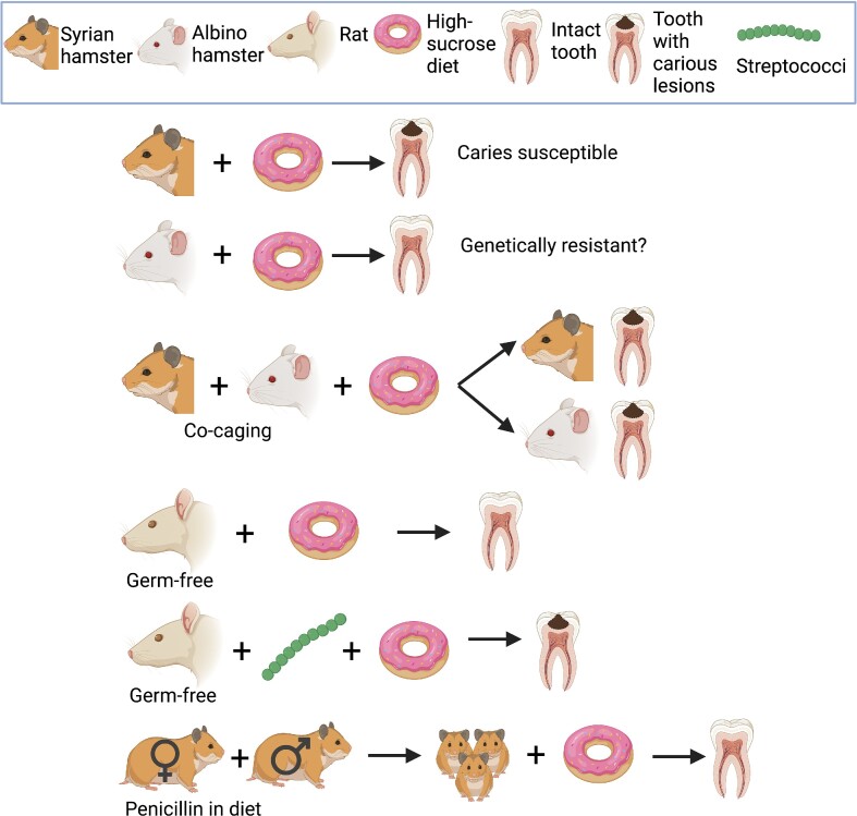 Figure 2.