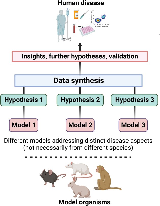 Figure 4.