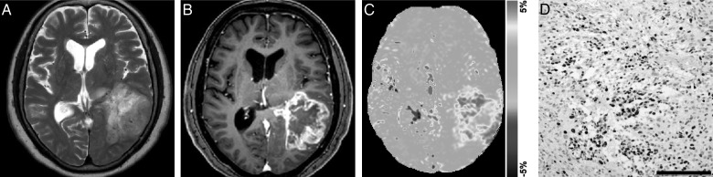 Fig. 7.