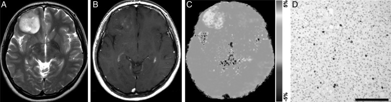 Fig. 6.