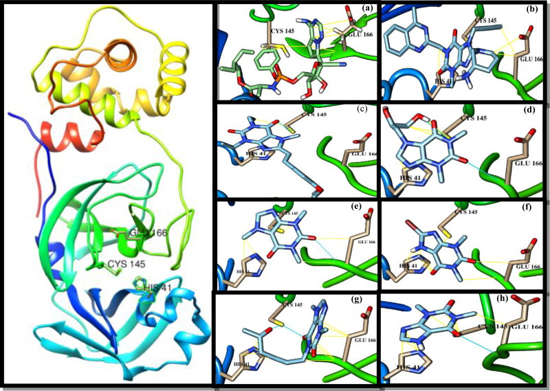 Figure 1.