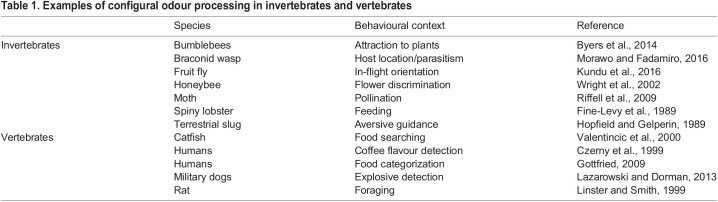 graphic file with name jexbio-225-242274-i1.jpg