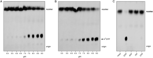 FIGURE 4.