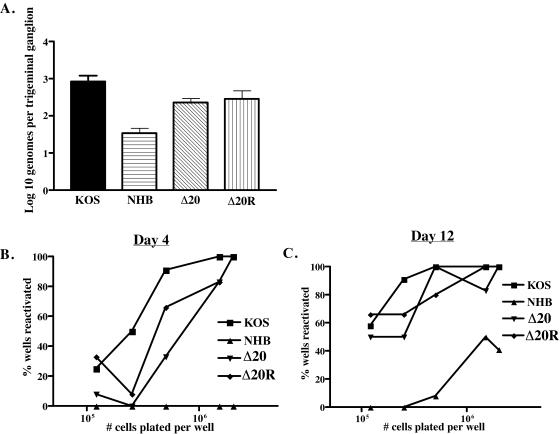 FIG. 9.