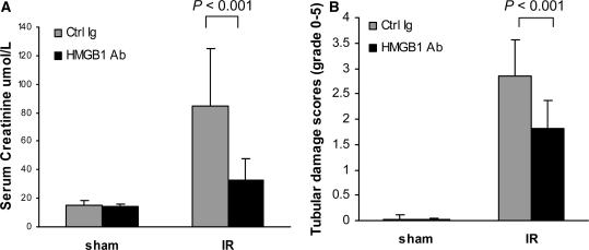 Figure 12.