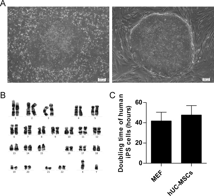 Fig 3