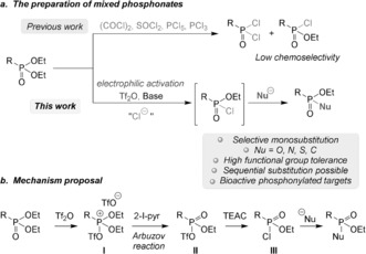 Scheme 2