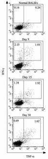 FIG. 3.
