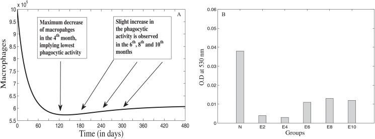 Fig 5