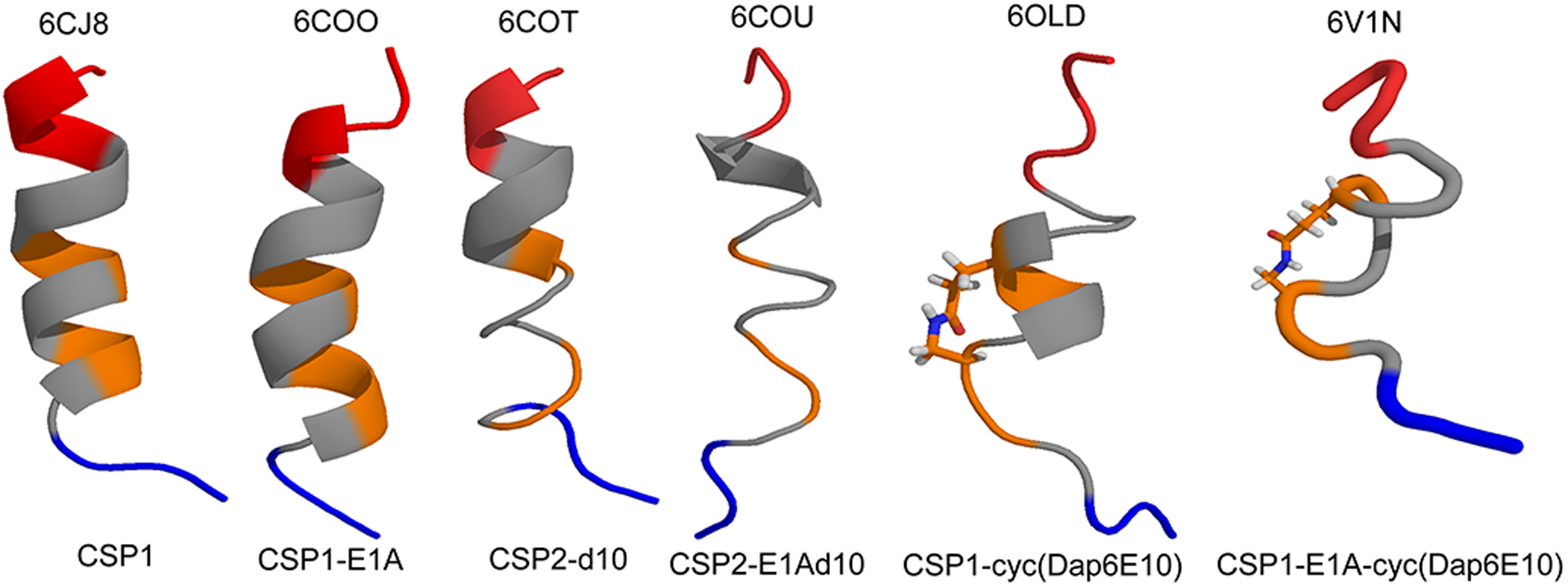 Figure 2: