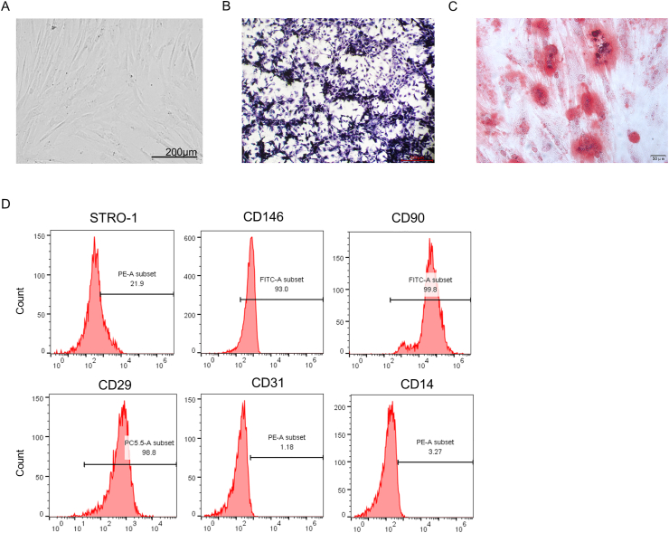 Figure 1