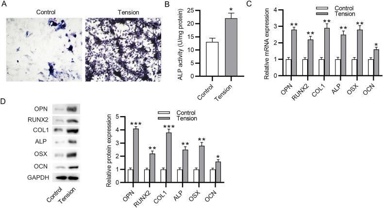 Figure 2