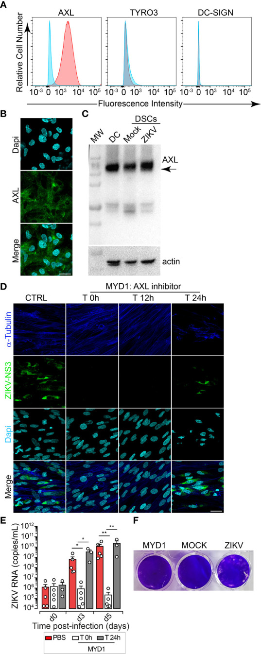 Figure 4