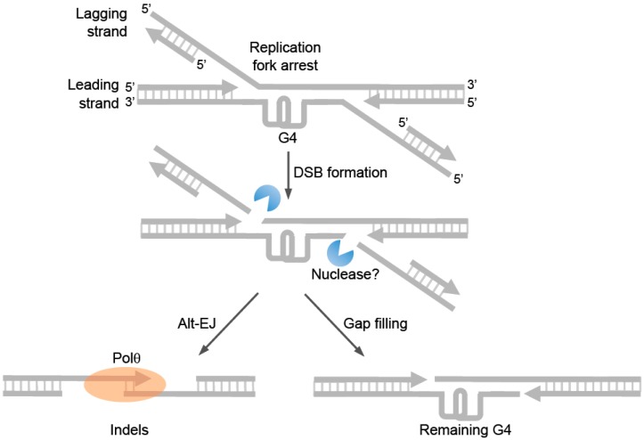 Figure 7