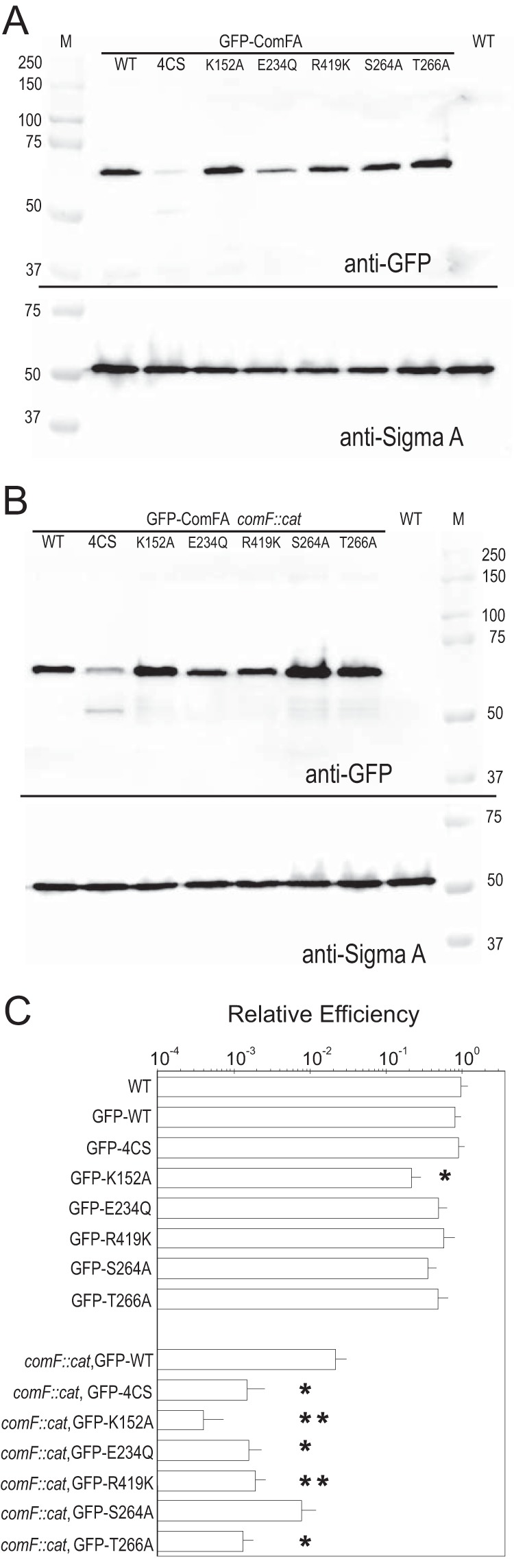 FIG 5