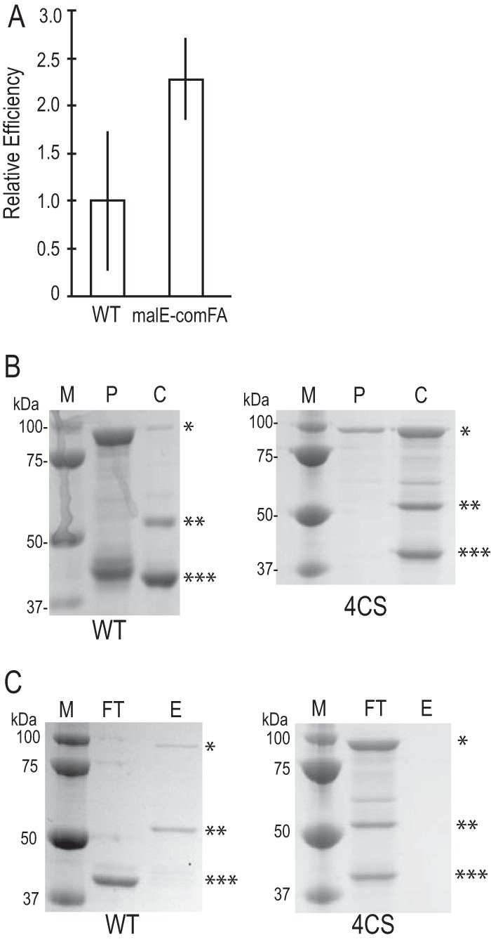 FIG 3