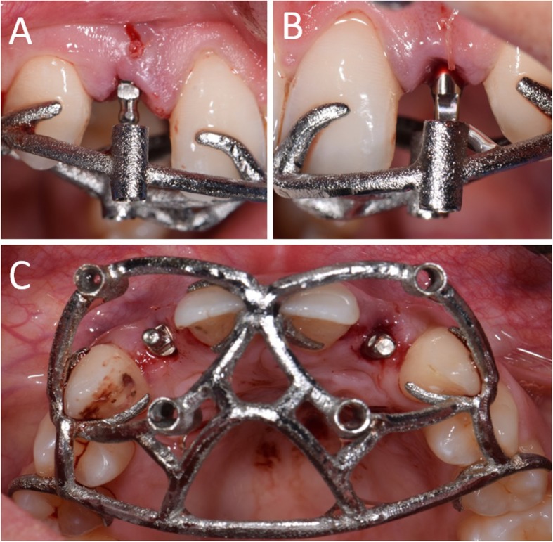 Fig. 8