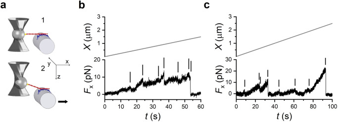 Fig. 3