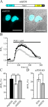 Figure 9.