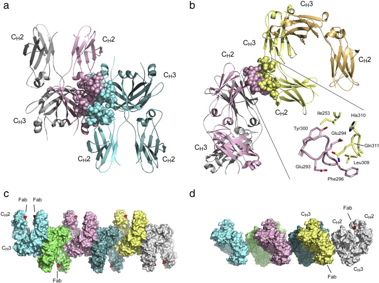 Fig. 2