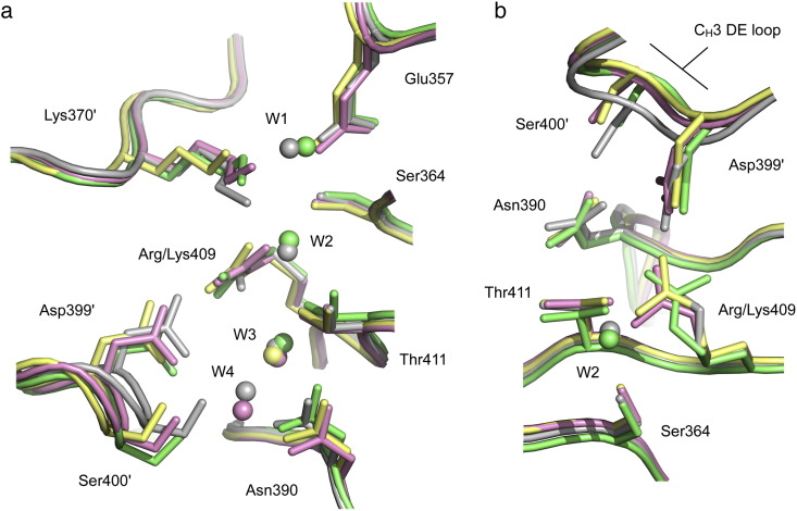 Fig. 1