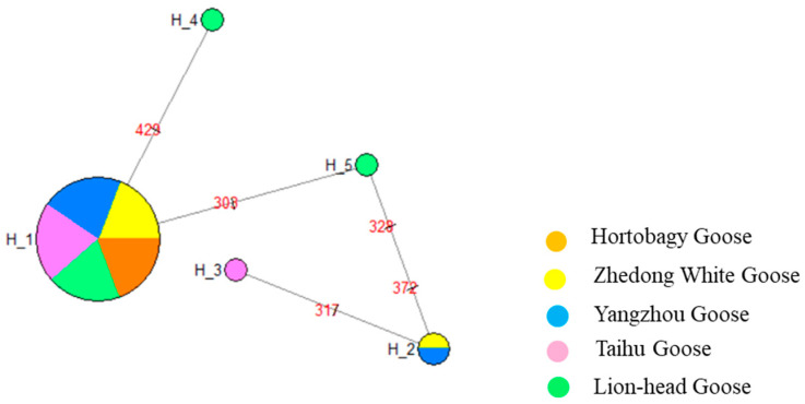 Figure 5