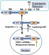 Figure 9.