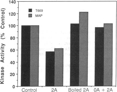 graphic file with name pnas01056-0497-b.jpg