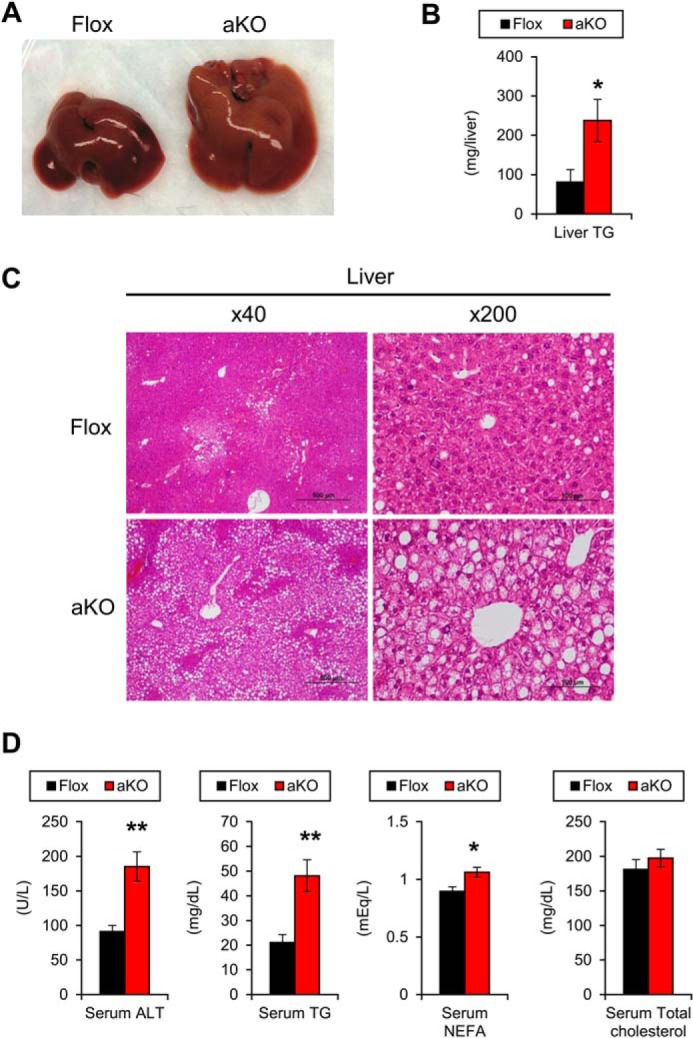 FIGURE 12.