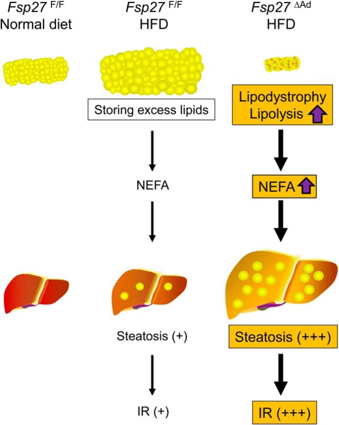 FIGURE 16.