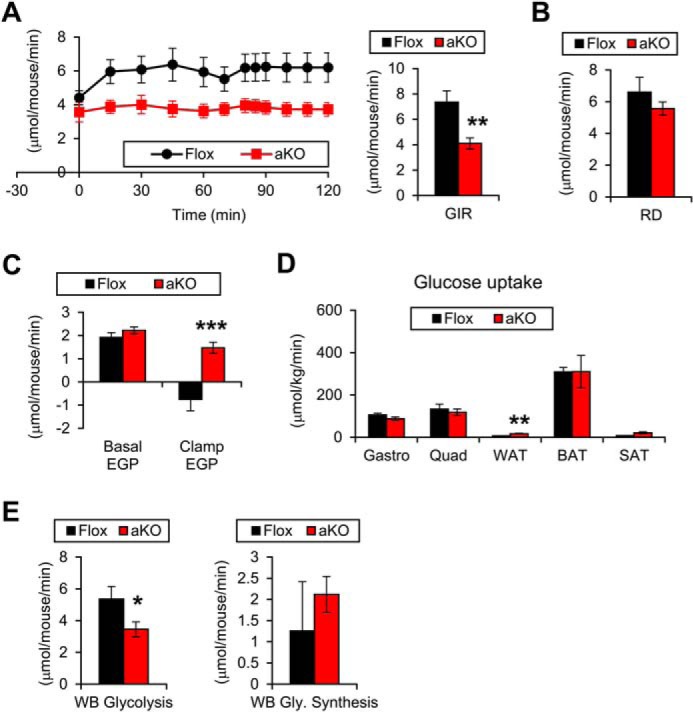 FIGURE 11.