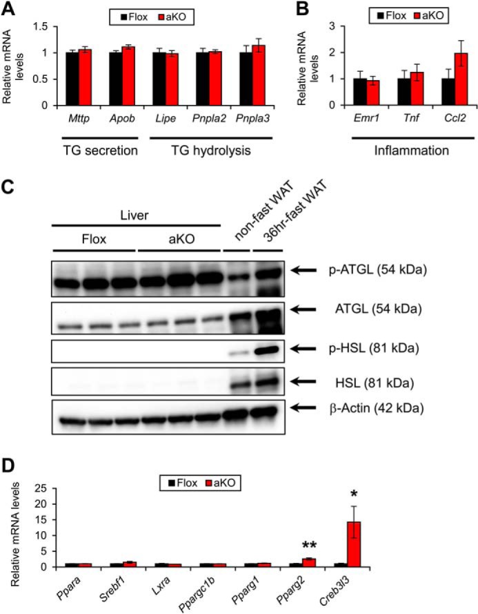 FIGURE 14.