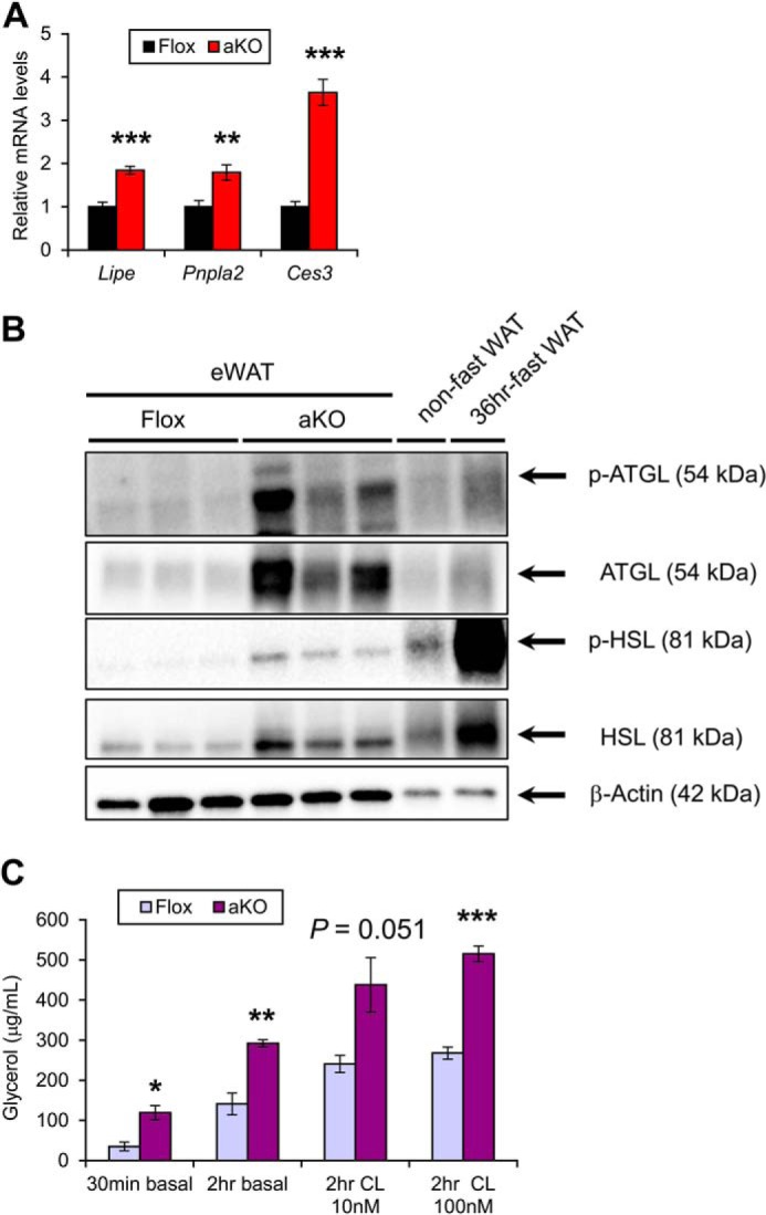 FIGURE 15.