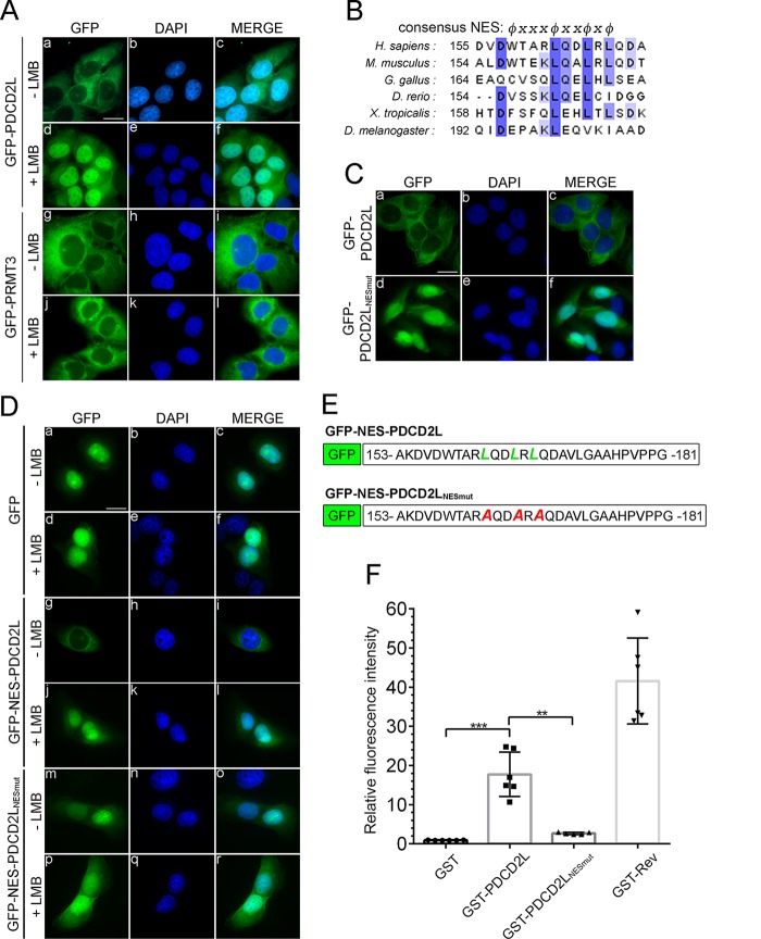 FIG 4