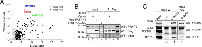 FIG 1