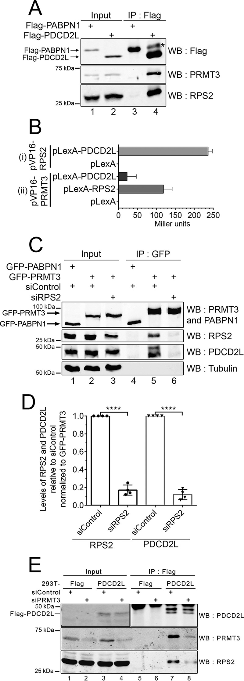 FIG 2