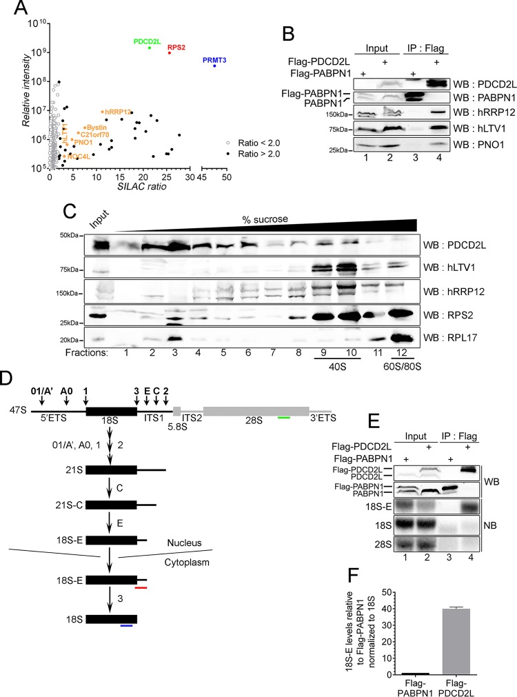 FIG 3