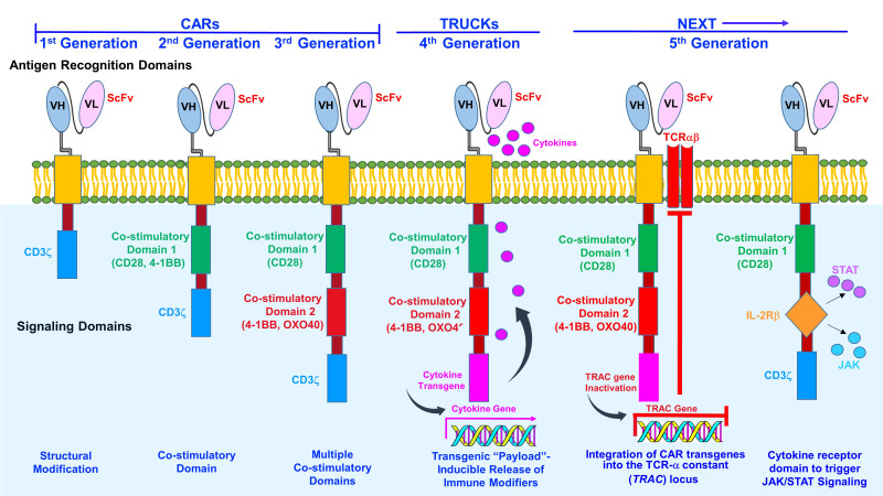 Figure 1