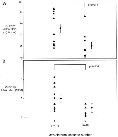 FIG. 5