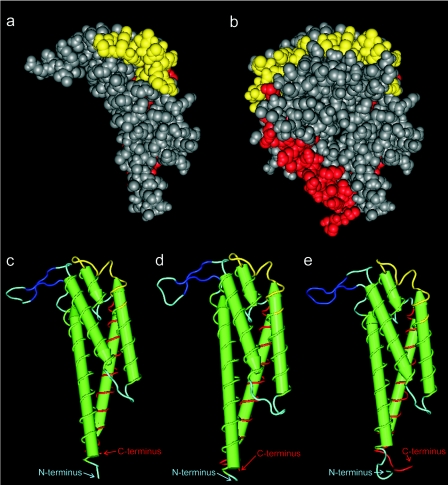 FIG. 4.