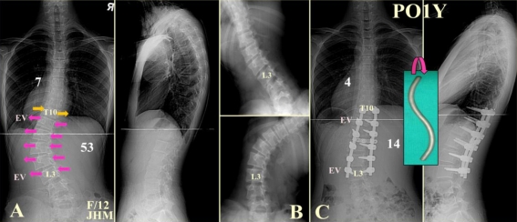 Fig. 7