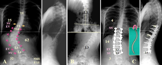 Fig. 8