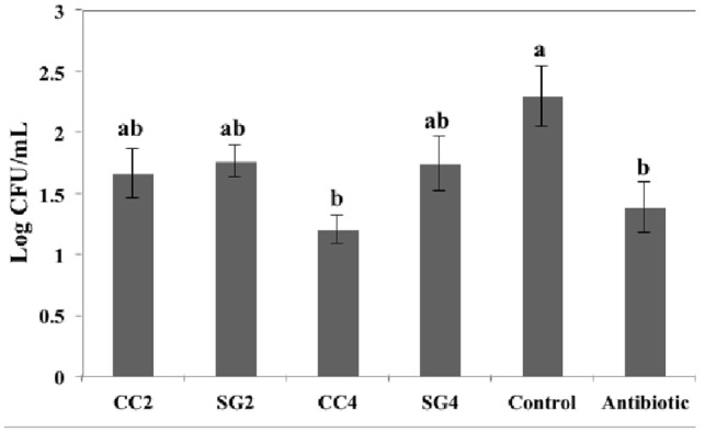 FIGURE 1