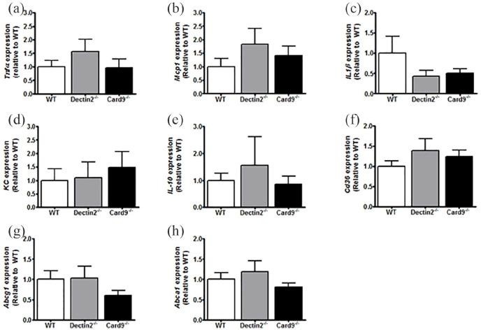 Figure 5.