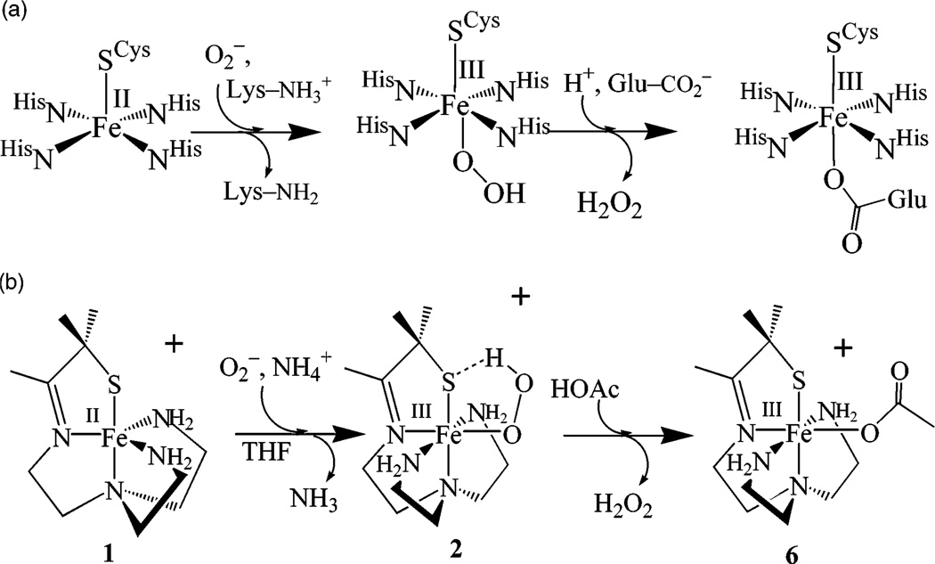 Scheme 2