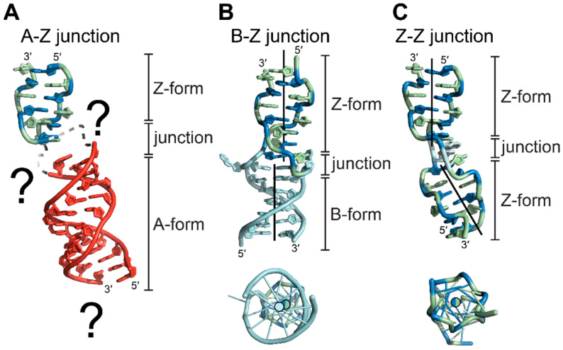 Figure 13