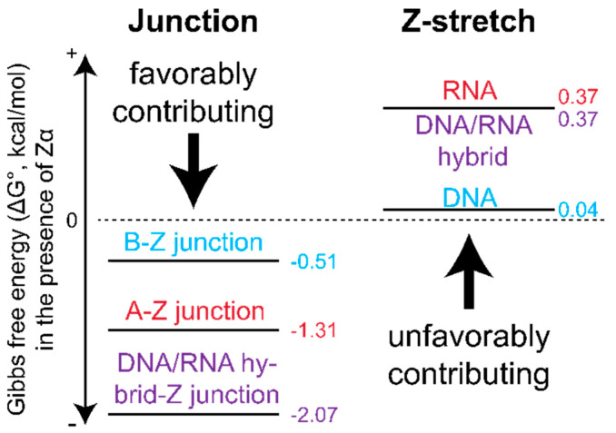 Figure 14