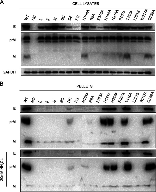 FIG 6