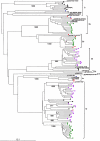 FIG. 3.
